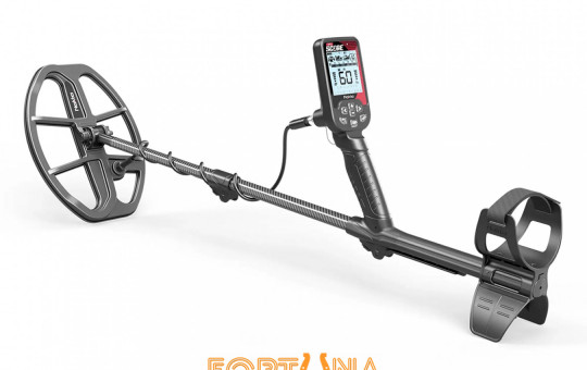 Зображення - Металлоискатели для начинающих и профессиональные: в чем разница