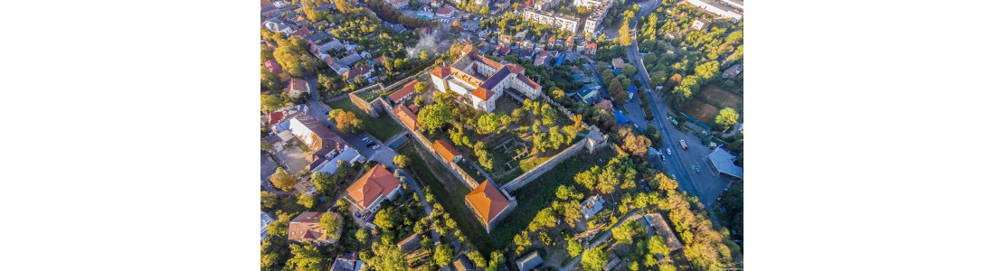 Металлоискатели в Ужгороде