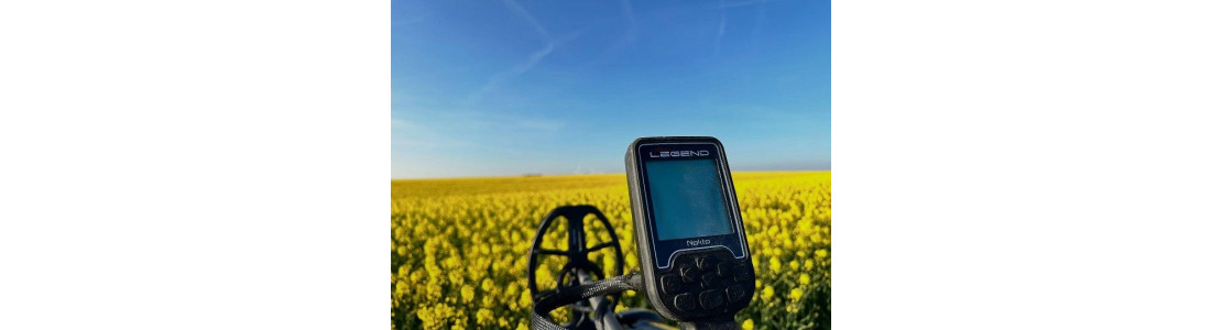 Зображення - Коп у лісі vs коп у полі: де більше шансів знайти скарб?