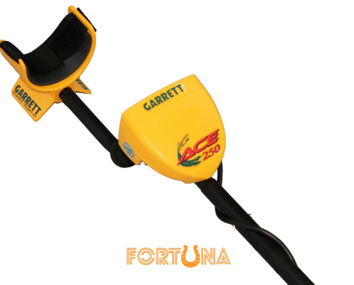 Зображення - Металлоискатель Garrett ACE 250
